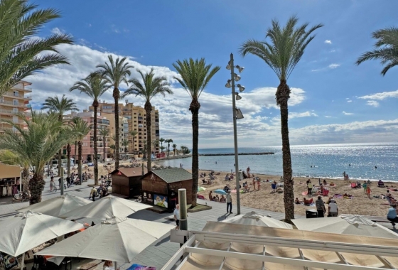 Lägenhet / lägenhet - Återförsäljning - Torrevieja - Costa Blanca