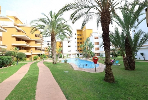 Penthouse - Herverkoop - Torrevieja - Costa Blanca