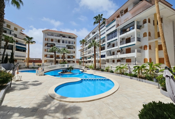 Penthouse - Resale - La Mata - Costa Blanca