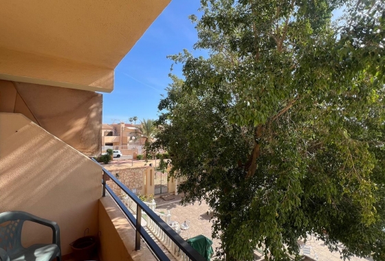Studie - Wiederverkauf - Torrevieja - CAH-97247