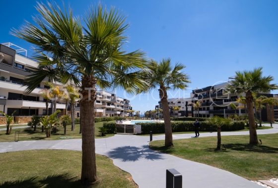 Takvåning - Återförsäljning - Orihuela - Orihuela