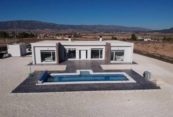 Villa - New Build - Pinoso - Camino Del Prado