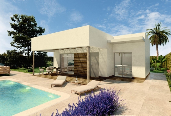 Villa - Nieuwbouw Woningen - Hondón de las Nieves - ANS-31872