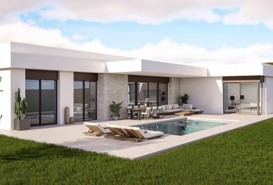 Villa - Nieuwbouw Woningen - Pinoso - Lel