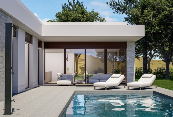 Villa - Obra nueva - Pinoso - Lel