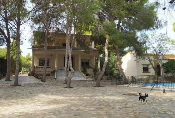 Villa - Resale - Torrevieja - Los Balcones