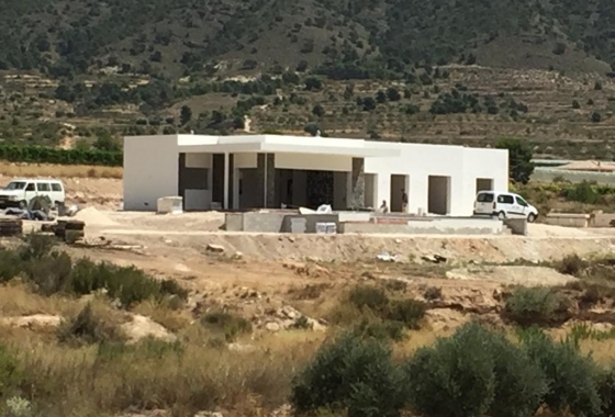 Villa - Reventa - Pinoso - Inland