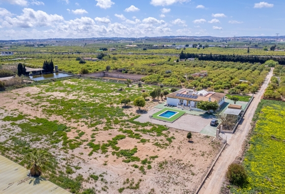 Villa - Revente - Los Montesinos - Costa Blanca
