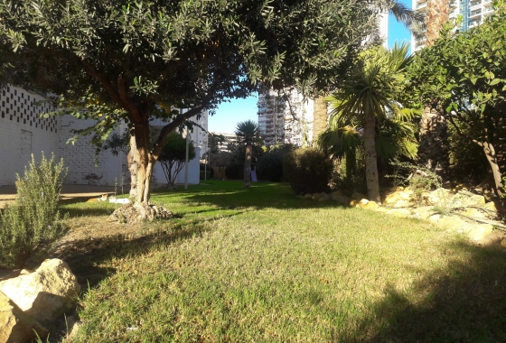 Wohnung - Wiederverkauf - Benidorm - Costa Blanca