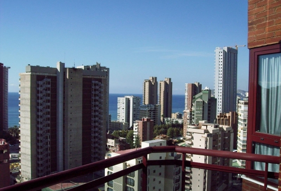 Wohnung - Wiederverkauf - Benidorm - Costa Blanca