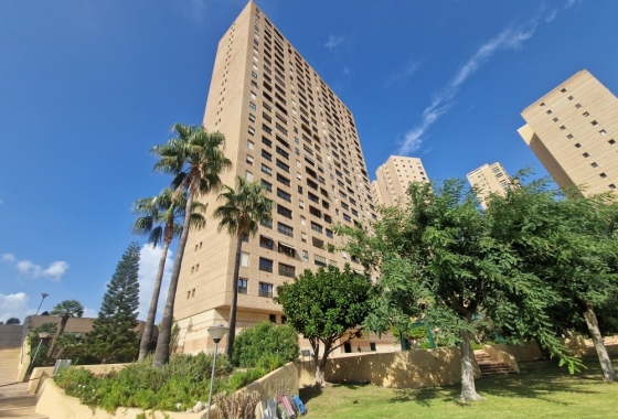 Wohnung - Wiederverkauf - Benidorm - Costa Blanca