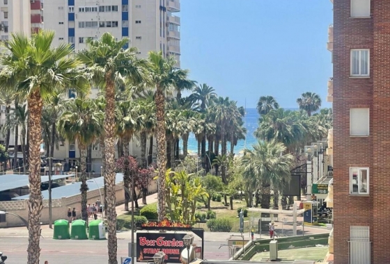 Wohnung - Wiederverkauf - Benidorm - Costa Blanca