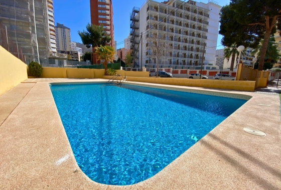 Wohnung - Wiederverkauf - Benidorm - Costa Blanca