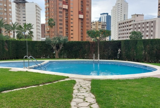 Wohnung - Wiederverkauf - Benidorm - Levante