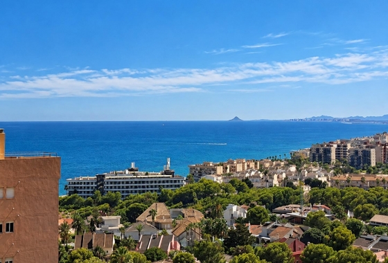 Wohnung - Wiederverkauf - Orihuela Costa - Campoamor