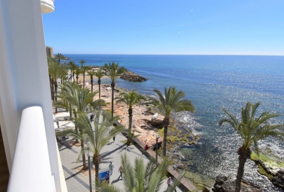 Wohnung - Wiederverkauf - Torrevieja - Costa Blanca