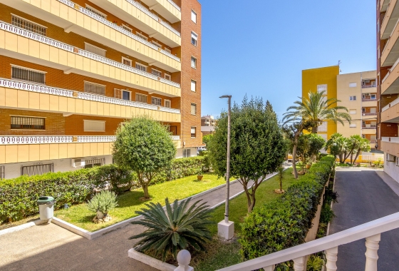 Wohnung - Wiederverkauf - Torrevieja - Costa Blanca