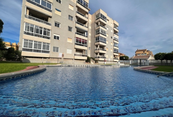 Wohnung - Wiederverkauf - Torrevieja - Costa Blanca