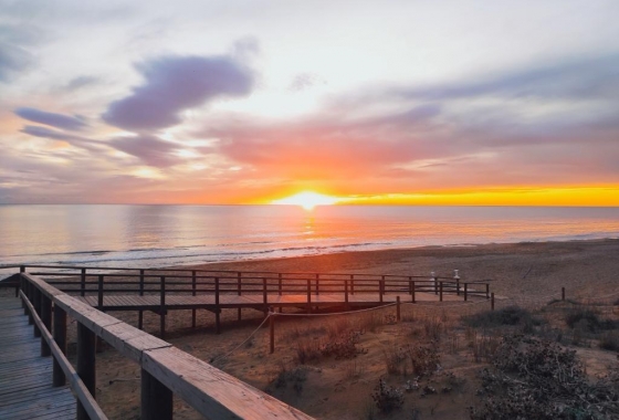 Wohnung - Wiederverkauf - Torrevieja - La Mata