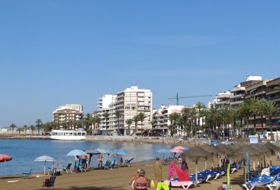 Wohnung - Wiederverkauf - Torrevieja - PLAYA DEL CURA - CENTRO