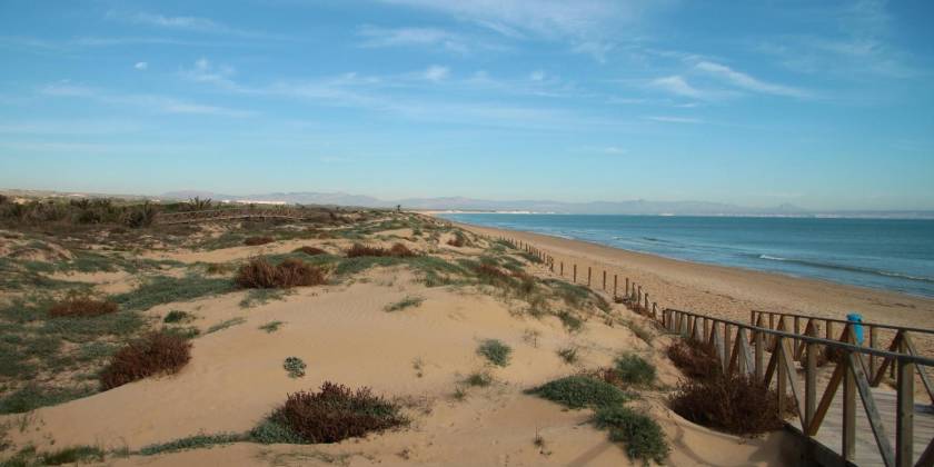 Eine etwas andere Wanderung in Guardamar: zwischen Dünen, Pinien und dem Meer.