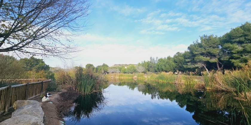 Ontdek het perfecte weekend met Roka Invest in het charmante El Recorral Park van Ciudad Quesada