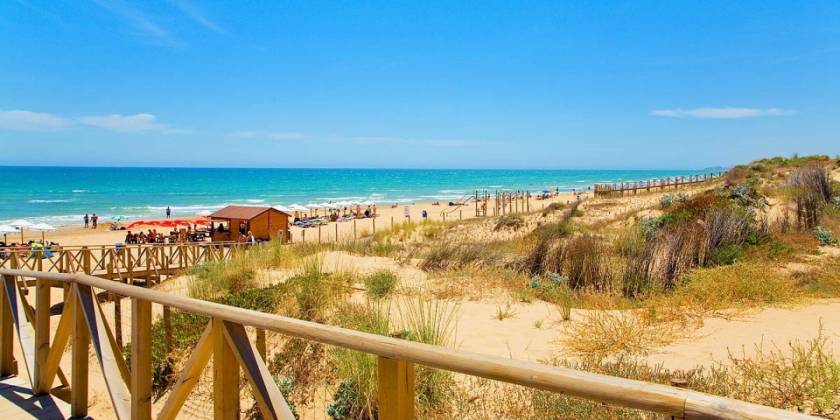 Südliche Costa Blanca: Bezahlbares, gesundes und entspanntes Leben am Mittelmeer 🌴☀️