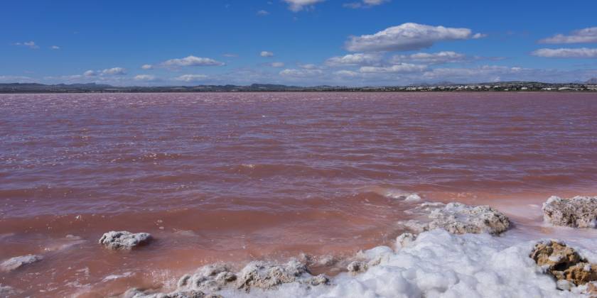 De Roze Lagune van Torrevieja: Een roze schat aan de Middellandse Zeekust