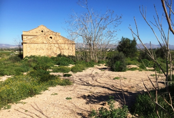 Herverkoop - Finca - La Matanza - Inland