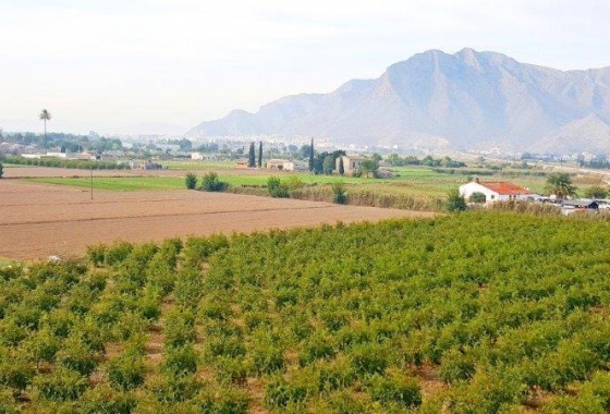 Herverkoop - Finca - Callosa de Segura - Inland