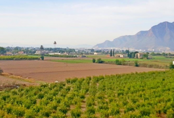 Herverkoop - Finca - Callosa de Segura - Inland