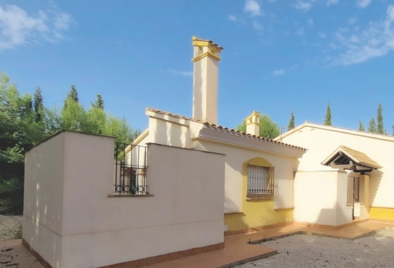 Nieuwbouw Woningen - Villa - Fuente Álamo - Las Palas