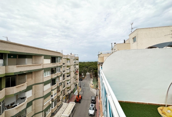 Herverkoop - Appartement / flat - Guardamar del Segura - Centro