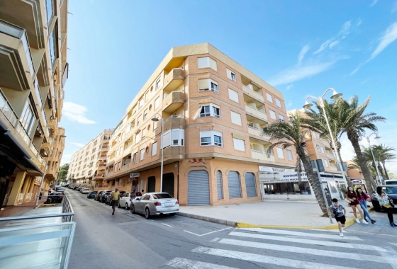 Herverkoop - Appartement / flat - Guardamar del Segura - Playa