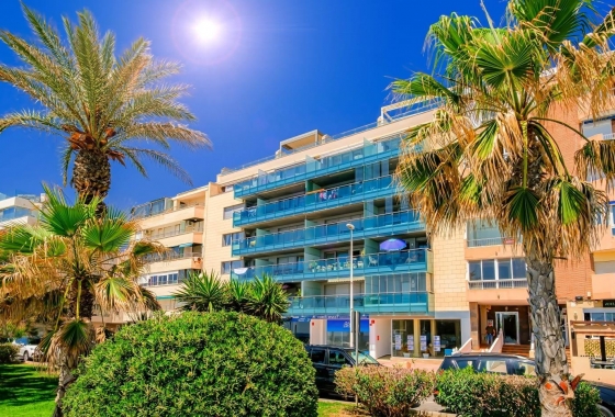 Herverkoop - Appartement / flat - Torrevieja - Playa del Cura