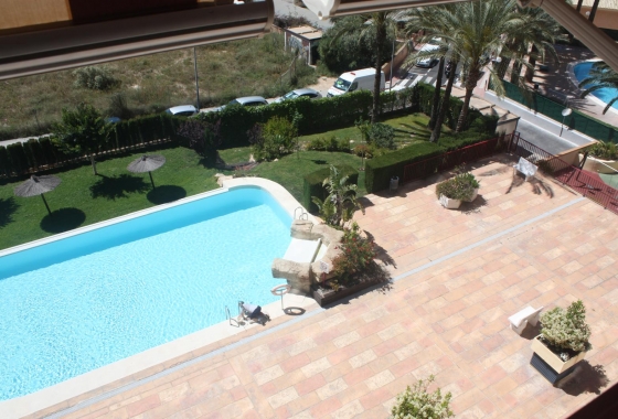 Herverkoop - Appartement / flat - Benidorm - Costa Blanca