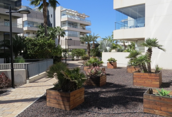 Herverkoop - Appartement / flat - Orihuela Costa - Costa Blanca