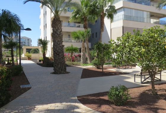 Herverkoop - Appartement / flat - Orihuela Costa - Costa Blanca