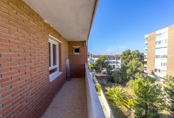 Herverkoop - Appartement / flat - Torrevieja - Costa Blanca