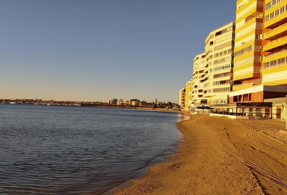 Herverkoop - Appartement / flat - Torrevieja - Acequion