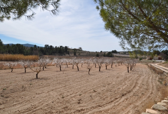 Herverkoop - Finca - Monóvar/Monóver - Inland