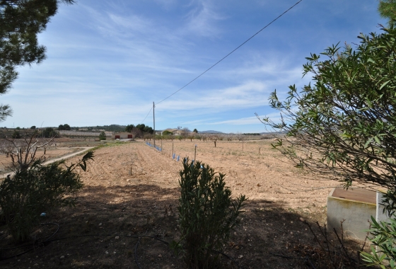 Herverkoop - Finca - Monóvar/Monóver - Inland