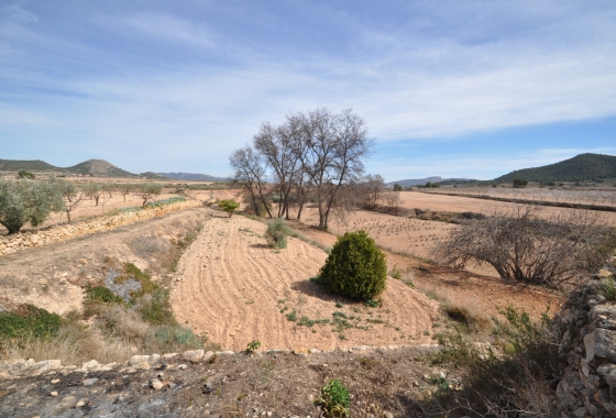 Herverkoop - Finca - Monóvar/Monóver - Inland