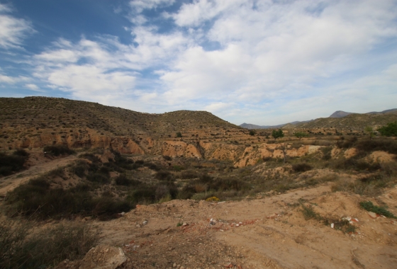 Herverkoop - Finca - Monóvar/Monóver - Inland