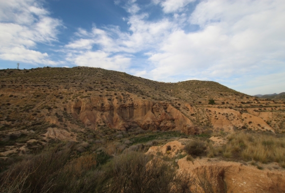 Herverkoop - Finca - Monóvar/Monóver - Inland