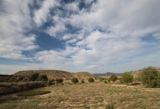 Herverkoop - Finca - Monóvar/Monóver - Inland