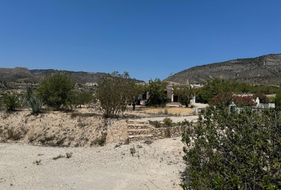 Herverkoop - Finca - Relleu