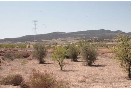 Herverkoop - Finca - Torre Del Rico - Inland