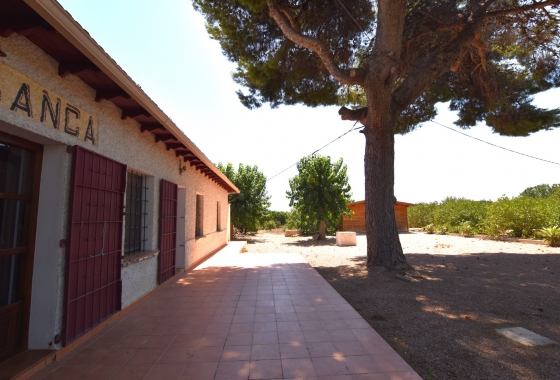 Herverkoop - Finca - Daya Nueva - Costa Blanca