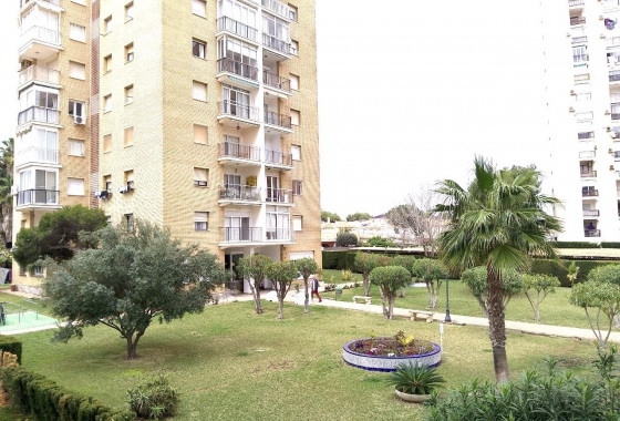 Herverkoop - Appartement / flat - Orihuela Costa - Costa Blanca